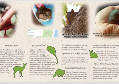 wildlife brochure